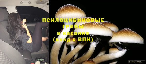 первитин Армянск